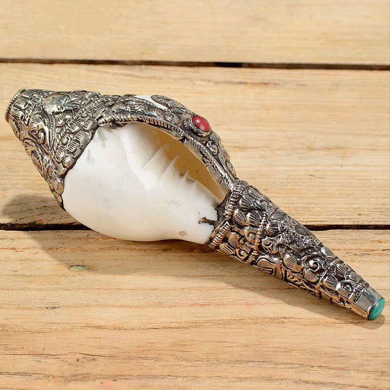 Buddha Stones Tibetan Natural Shankha Conch Shell Seashell Wealth Lucky Home Decoration