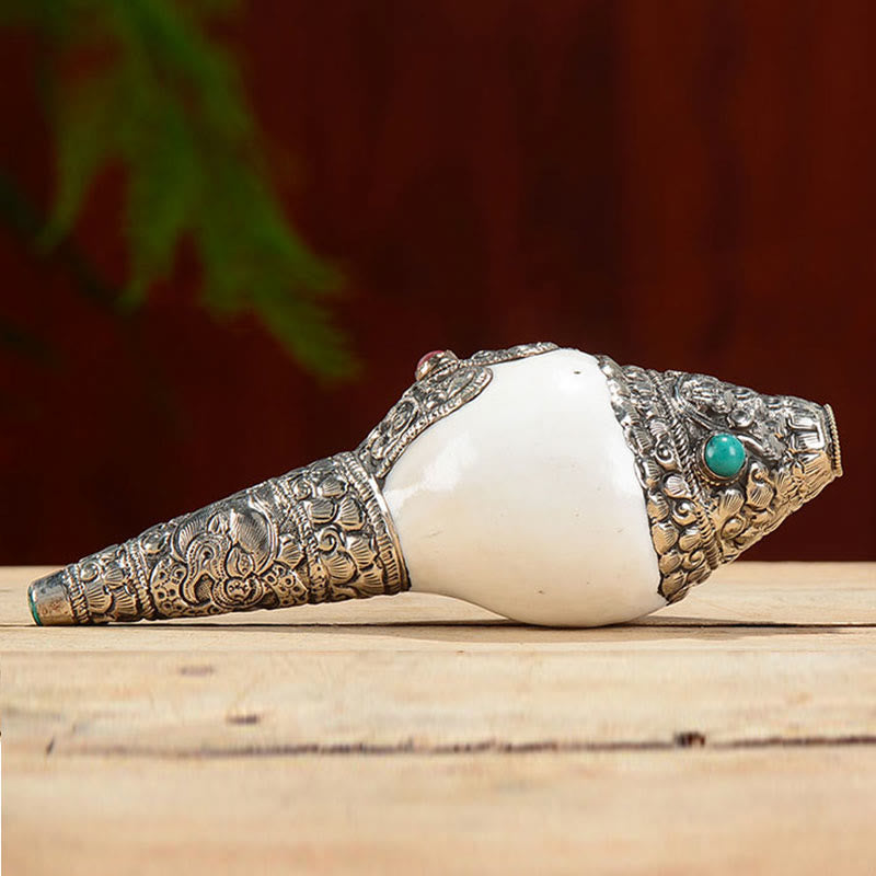 Buddha Stones Tibetan Natural Shankha Conch Shell Seashell Wealth Lucky Home Decoration