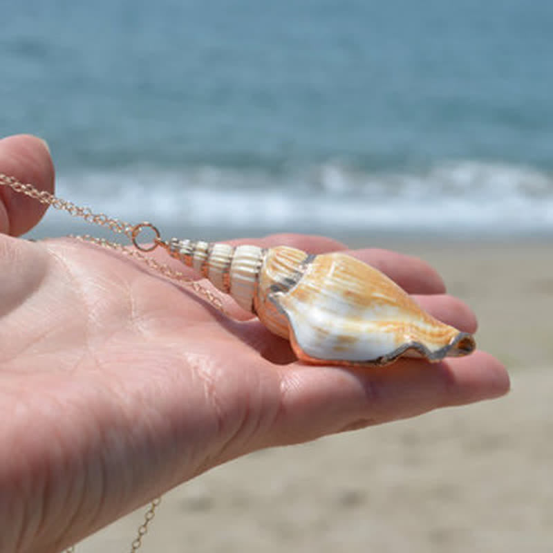 Buddha Stones Natural Shankha Conch Shell Seashell Lucky Necklace Pendant