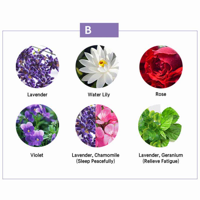 Buddha Stones 6Pcs Lavender Orange Jasmine Lemongrass Soothing Aromatherapy Healing Essential Oils Set