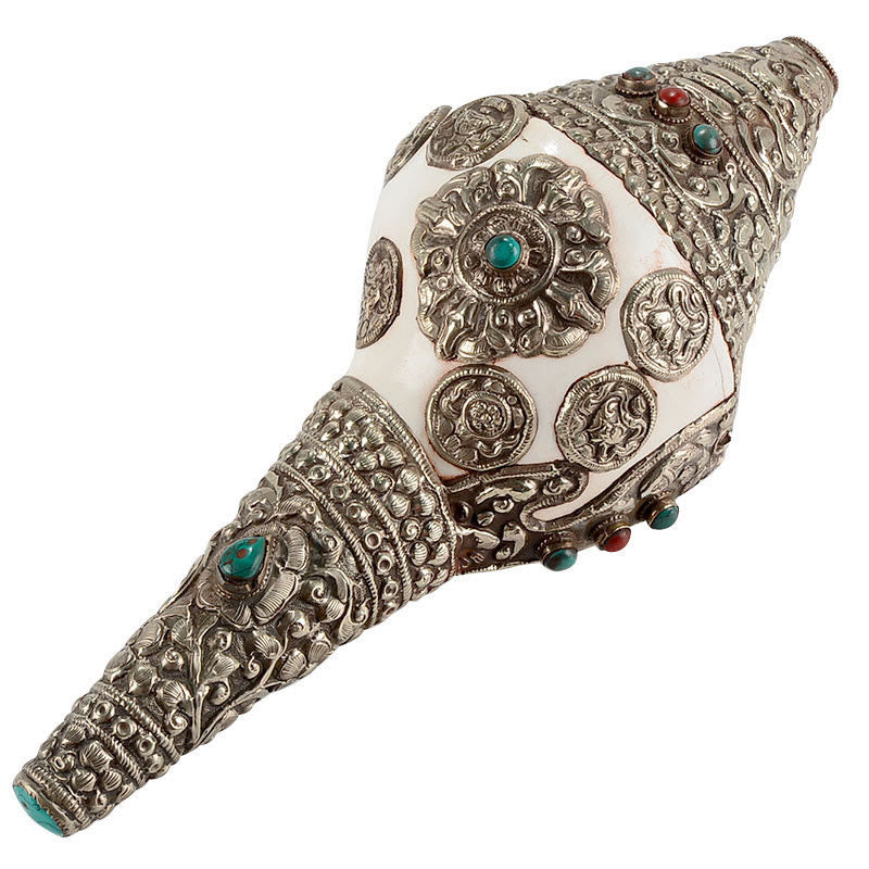 Buddha Stones Tibetan Natural Shankha Conch Shell Seashell Wealth Lucky Home Decoration