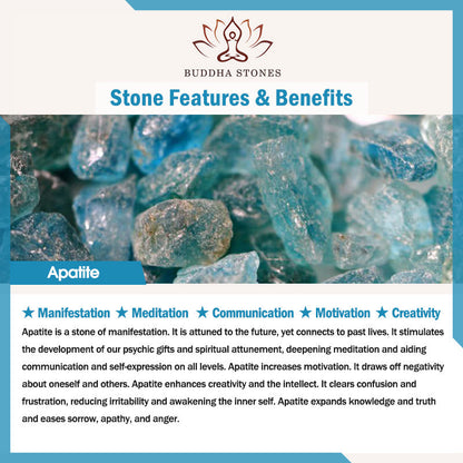 Buddha Stones Natural Various Crystal Strawberry Quartz Amethyst Nine Tailed Fox Protection Home Decoration