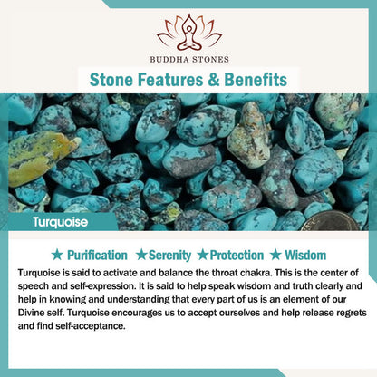Buddha Stones Small Various Crystal Green Aventurine Amethyst Turtle Copper Coins Luck Home Decoration
