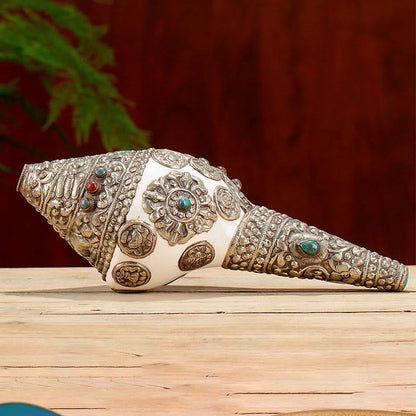 Buddha Stones Tibetan Natural Shankha Conch Shell Seashell Wealth Lucky Home Decoration