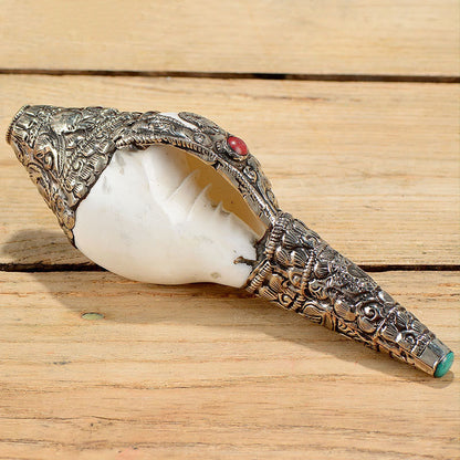 Buddha Stones Tibetan Natural Shankha Conch Shell Seashell Wealth Lucky Home Decoration