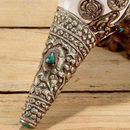 Buddha Stones Tibetan Natural Shankha Conch Shell Seashell Wealth Lucky Home Decoration