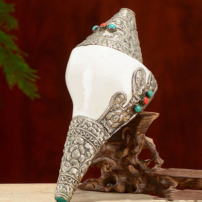 Buddha Stones Tibetan Natural Shankha Conch Shell Seashell Wealth Lucky Home Decoration