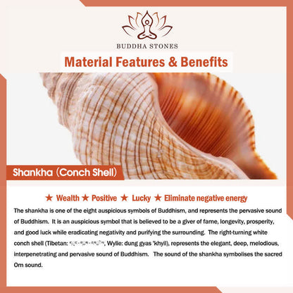 Buddha Stones Tibetan Natural Shankha Conch Shell Seashell Wealth Lucky Home Decoration