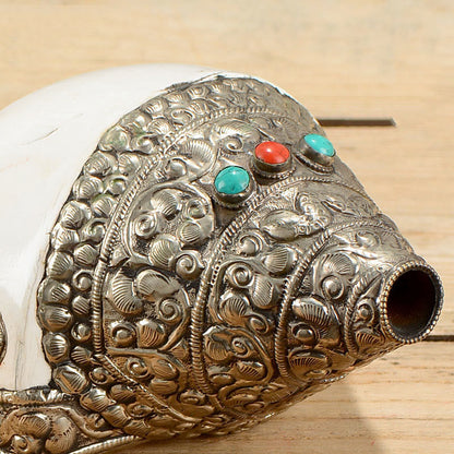 Buddha Stones Tibetan Natural Shankha Conch Shell Seashell Wealth Lucky Home Decoration