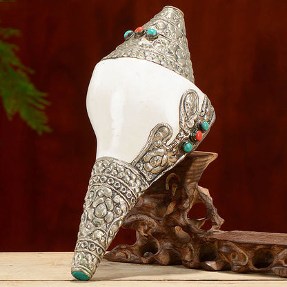 Buddha Stones Tibetan Natural Shankha Conch Shell Seashell Wealth Lucky Home Decoration